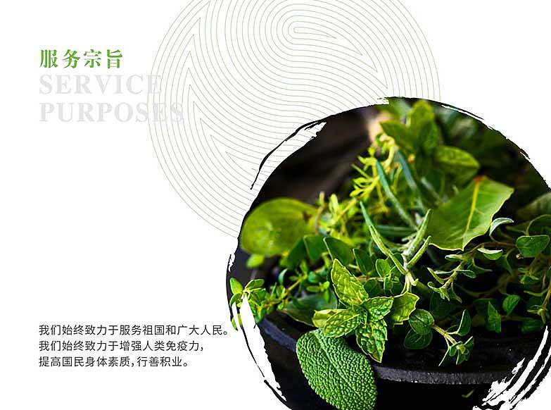 VI品牌设计丨当养生遇见新中医—全国首家(原创)