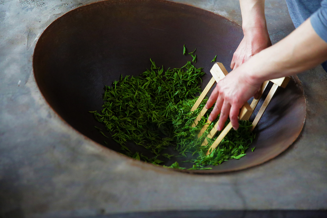 古法手工制茶 · 明前玲珑王小叶茶_123aven-站酷zcool