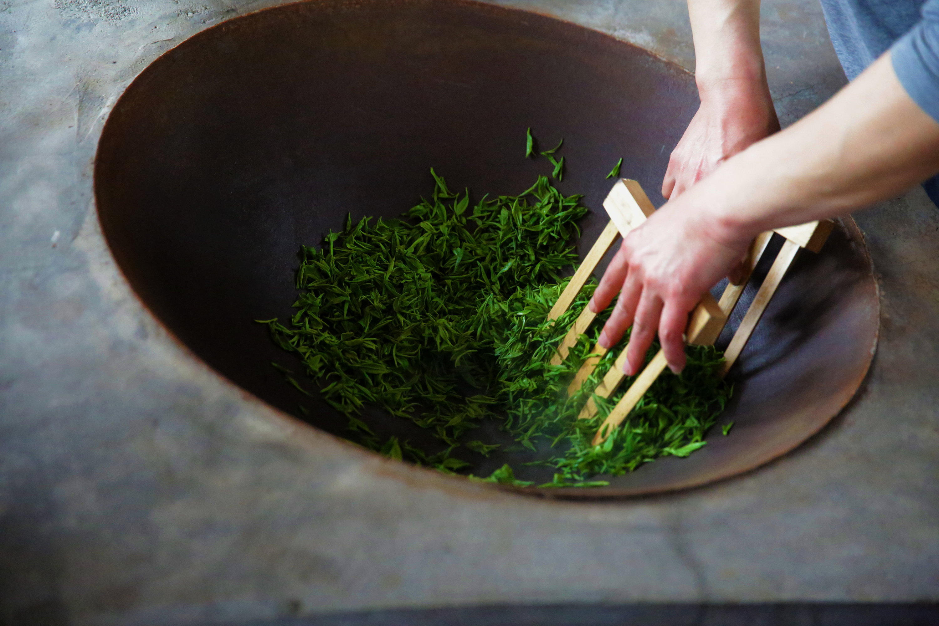 古法手工制茶 · 明前玲珑王小叶茶