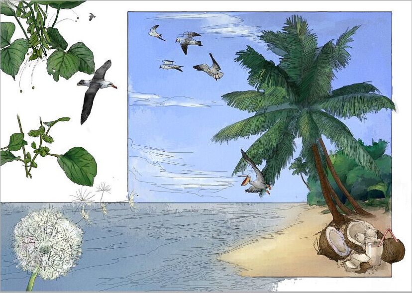 儿童科普类 教育类 上色插图（图ZMTQ0MzcwMTc2） - 儿童插画 - 站酷设计师上超工作室原创素材 - 站酷ZCOOL