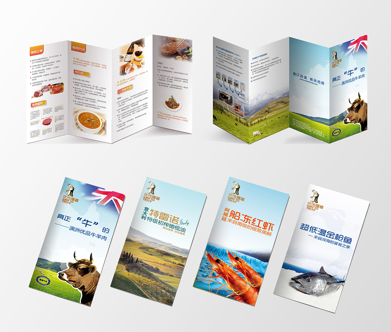 进口食品-产品宣传折页