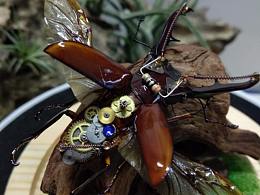 朋克机械-美它力佛细身赤锹