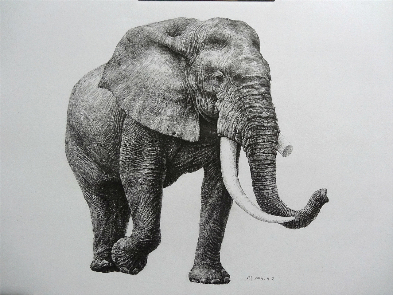 象|纯艺术|绘画|欢子_纯手绘 - 原创作品 - 站酷 (zcool)