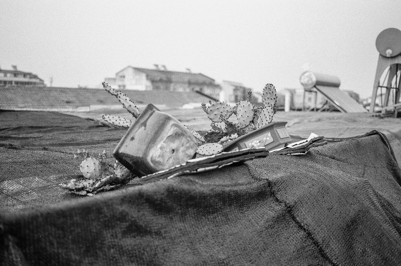 正式入坑旁轴——福伦达 Bessa T