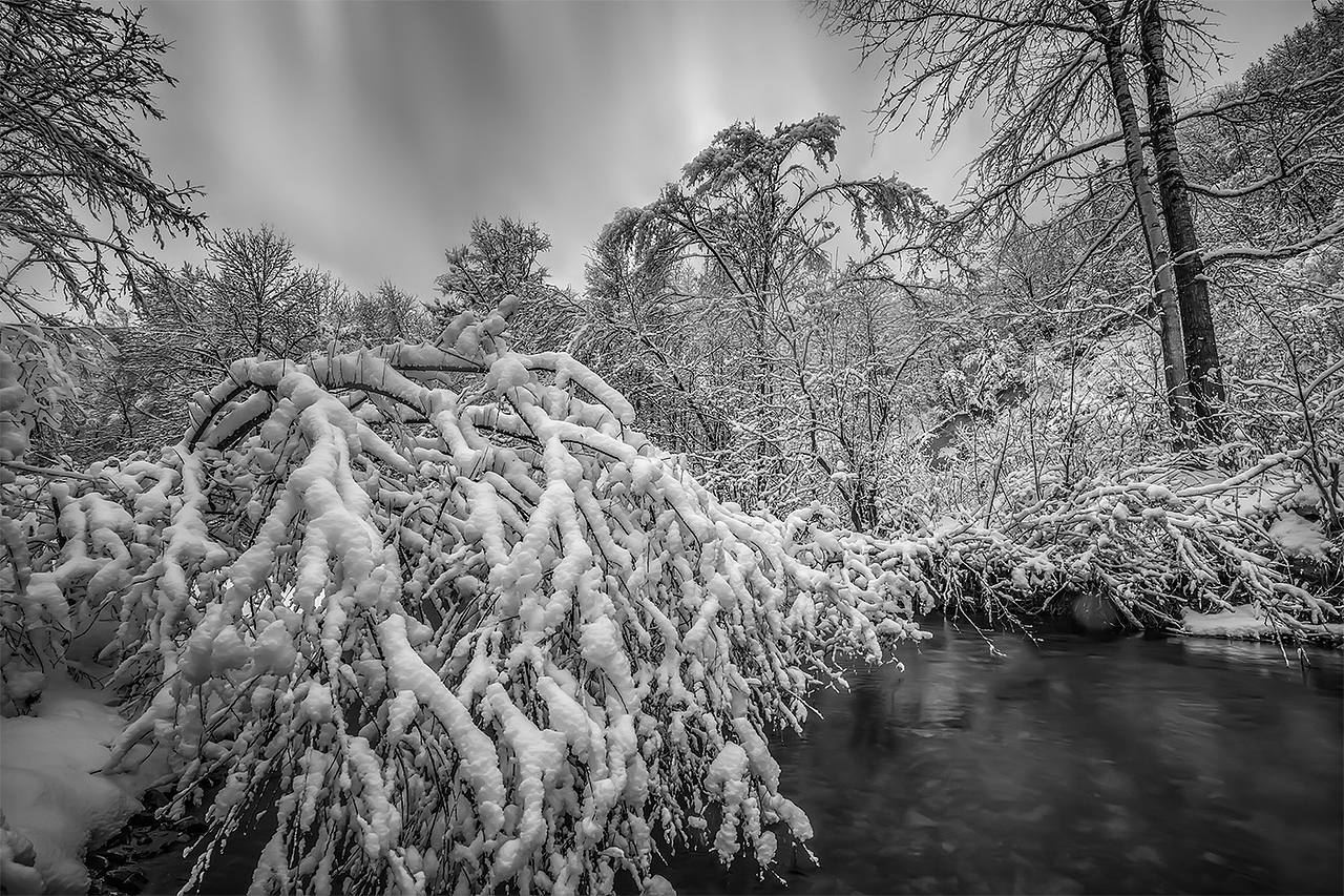 你那里下雪了吗