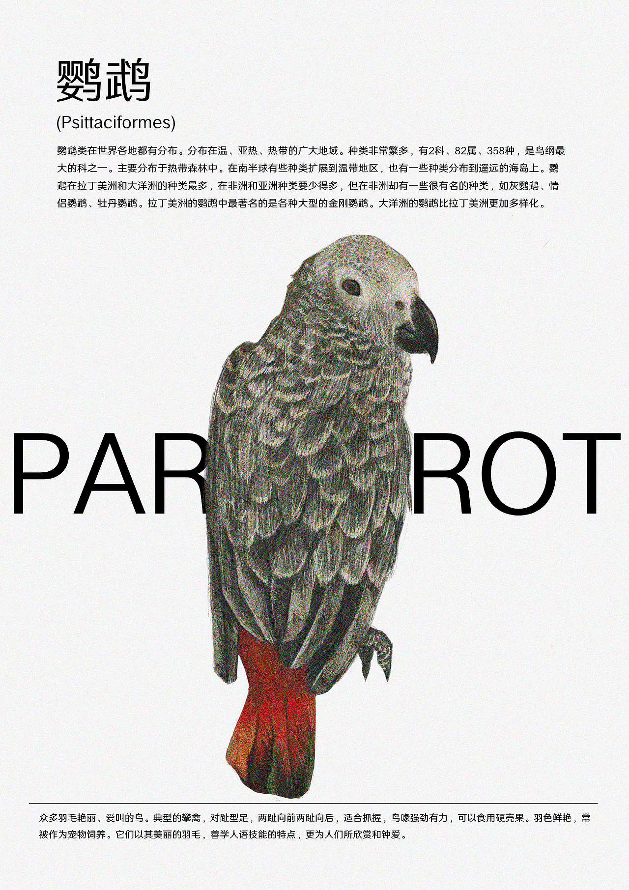 《动物园·成都》（图ZMjIwMjE1MjI0） - 创作习作 - 站酷设计师double又原创素材 - 站酷ZCOOL