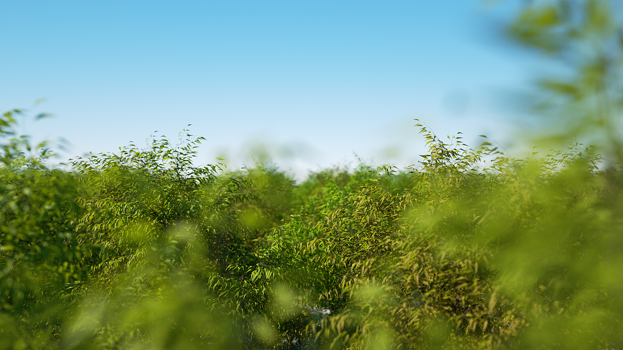 森林草地练习（图ZMjM5NjE4MzAw） - 场景 - 站酷设计师小黄豆呀原创素材 - 站酷ZCOOL