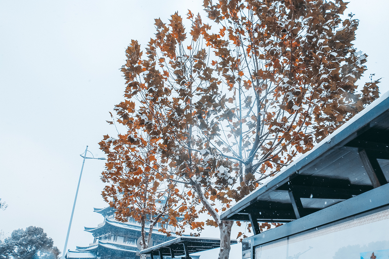 2021年长沙-初雪