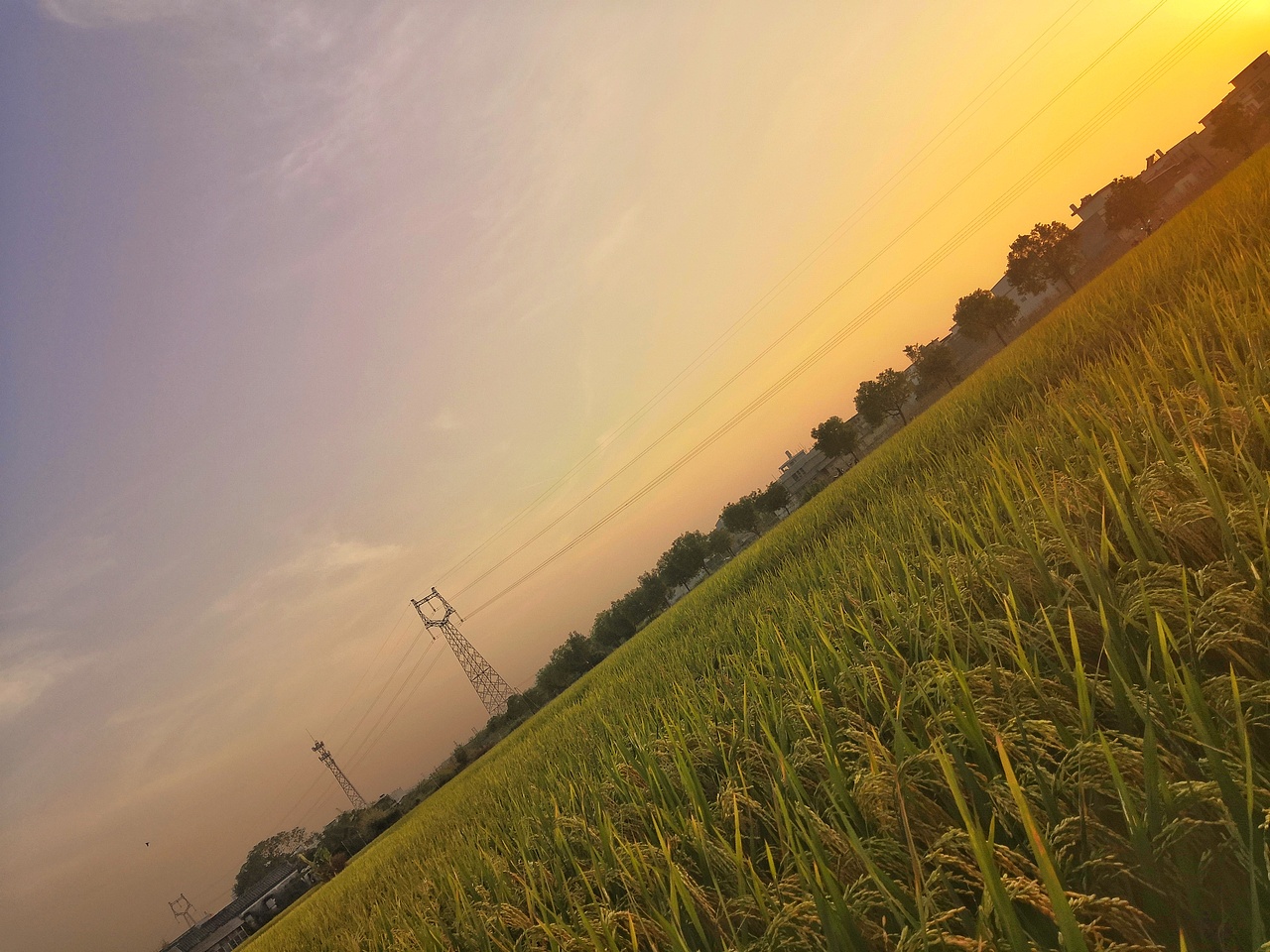 秋??（圖ZMTgzMjc2Nzg4） - 人像攝影 - 站酷設計師敏純純原創(chuàng)素材 - 站酷ZCOOL