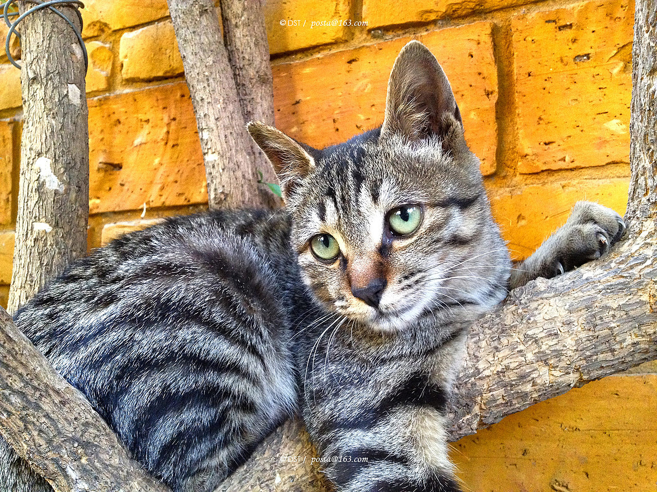 佛国巡礼-再回云南：官渡古镇，东寺塔，红土地（图ZNDk3NjA2MDA=） - 风光摄影 - 站酷设计师colori原创素材 - 站酷ZCOOL