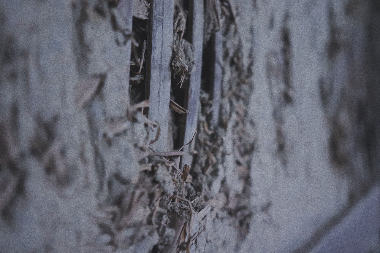 成都 成都（图ZMTgwNTAwNTI0） - 人文/纪实摄影 - 站酷设计师是进击的脸猫呀原创素材 - 站酷ZCOOL