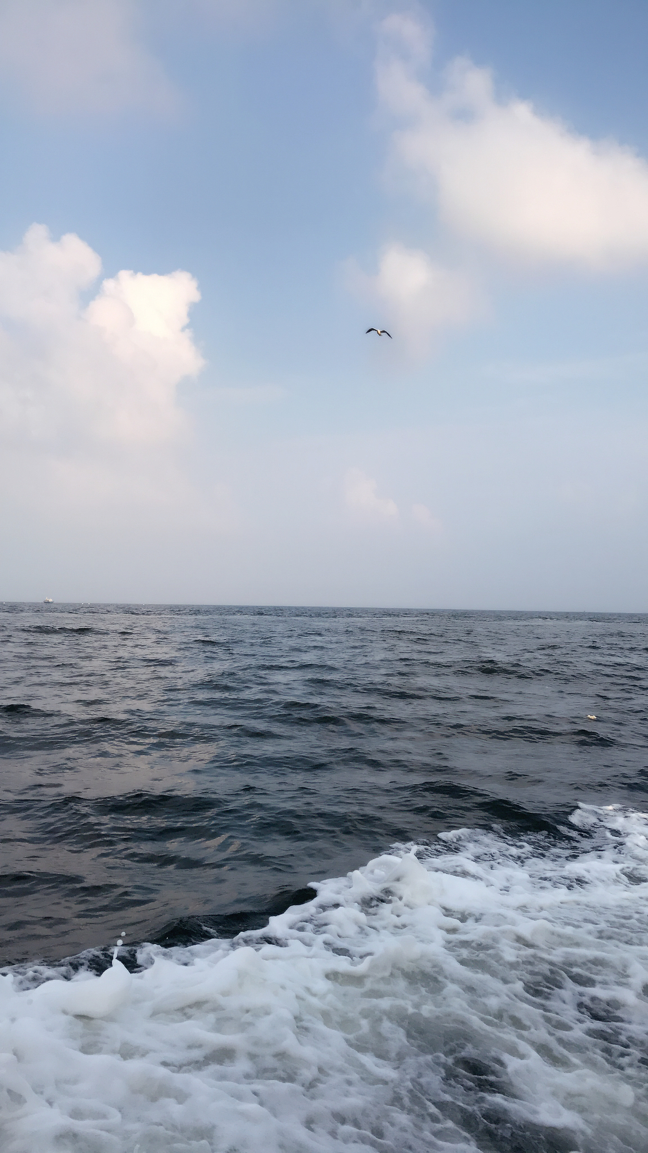 海上随手拍（图ZODk4MDYzMjQ=） - 风光摄影 - 站酷设计师松鼠的梦原创素材 - 站酷ZCOOL