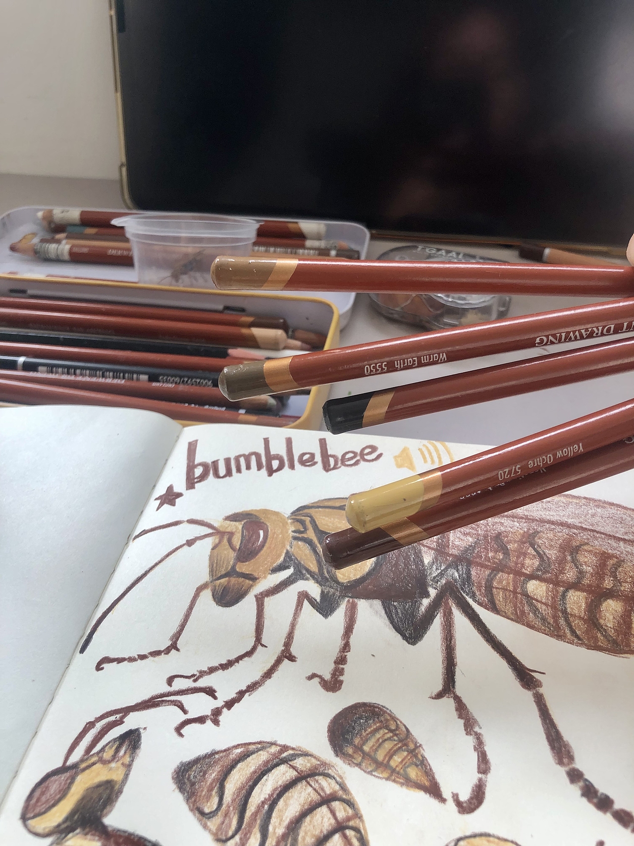 昆虫大集合2023年11月