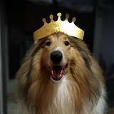 竹影青青的头像