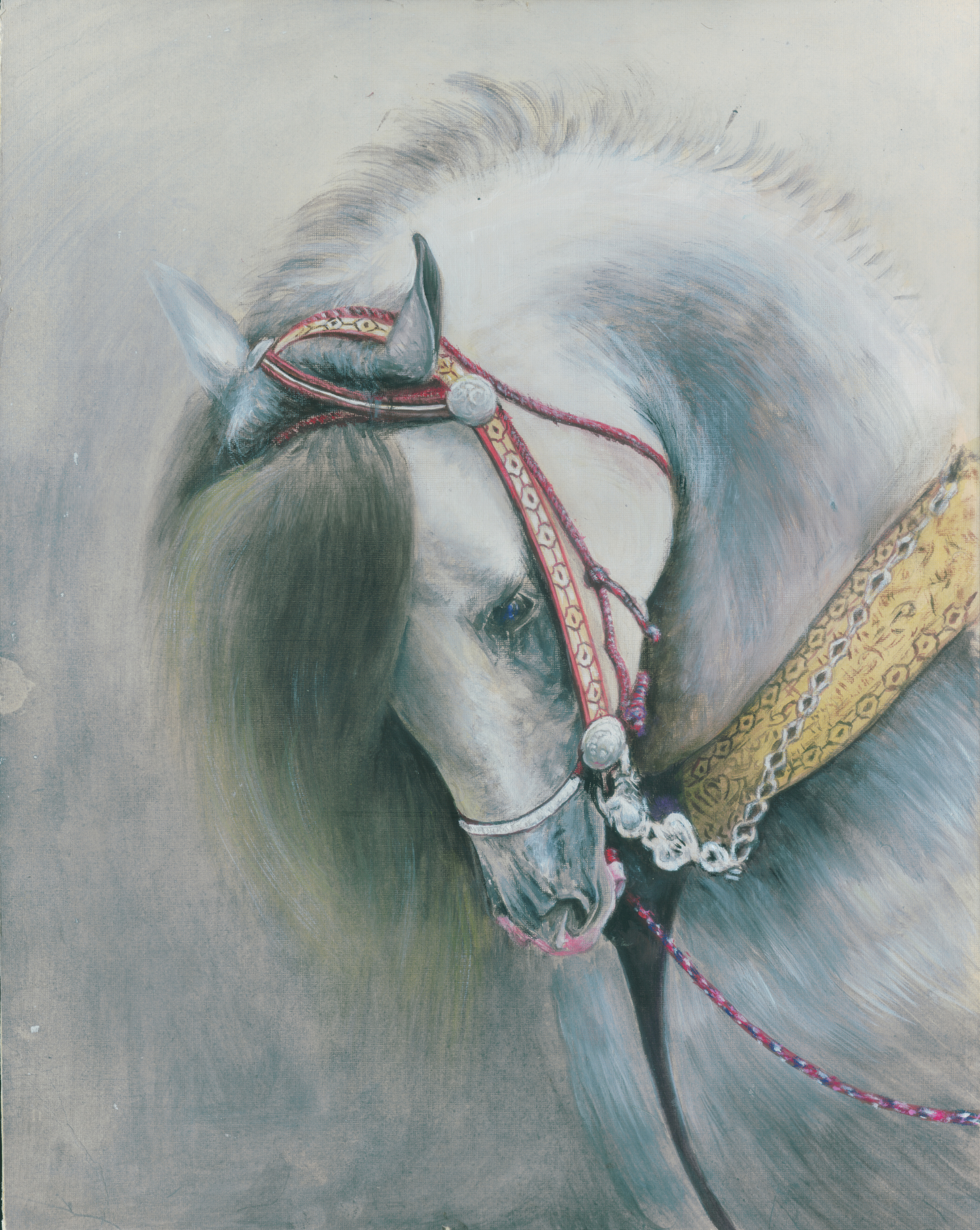 13年手绘 马|插画|创作习作|xuchaojie - 原创作品 - 站酷 (zcool)