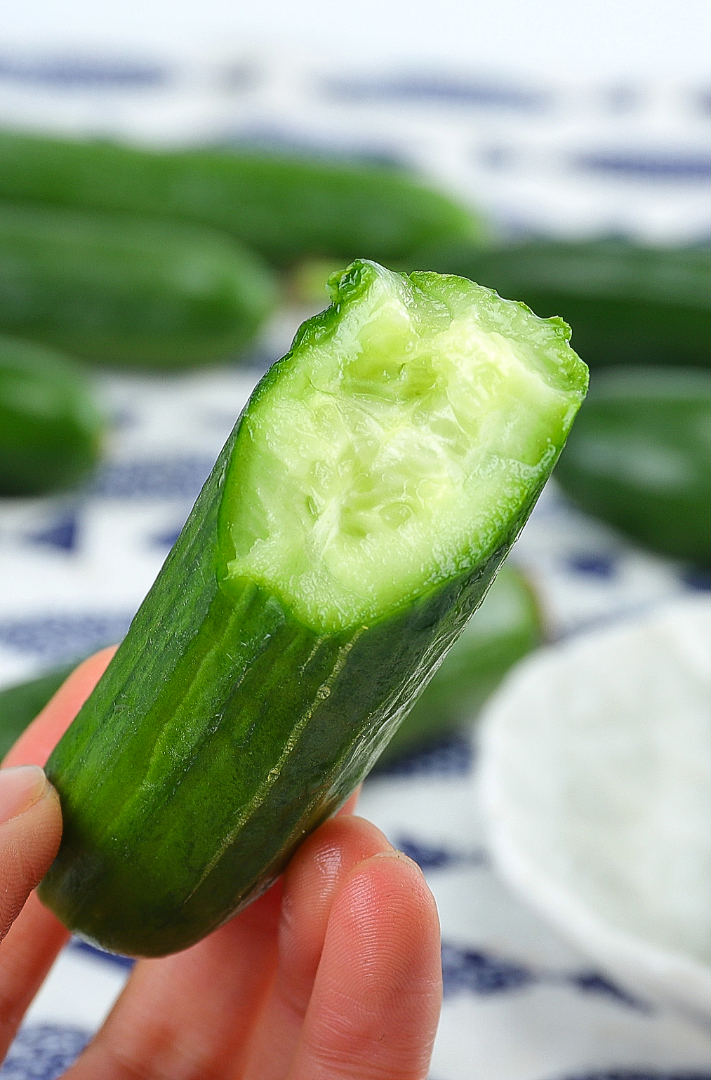 水果拍摄—黄瓜