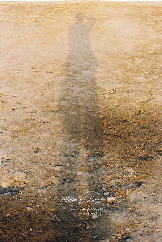 菲林《晨》 # layy的时光机 #