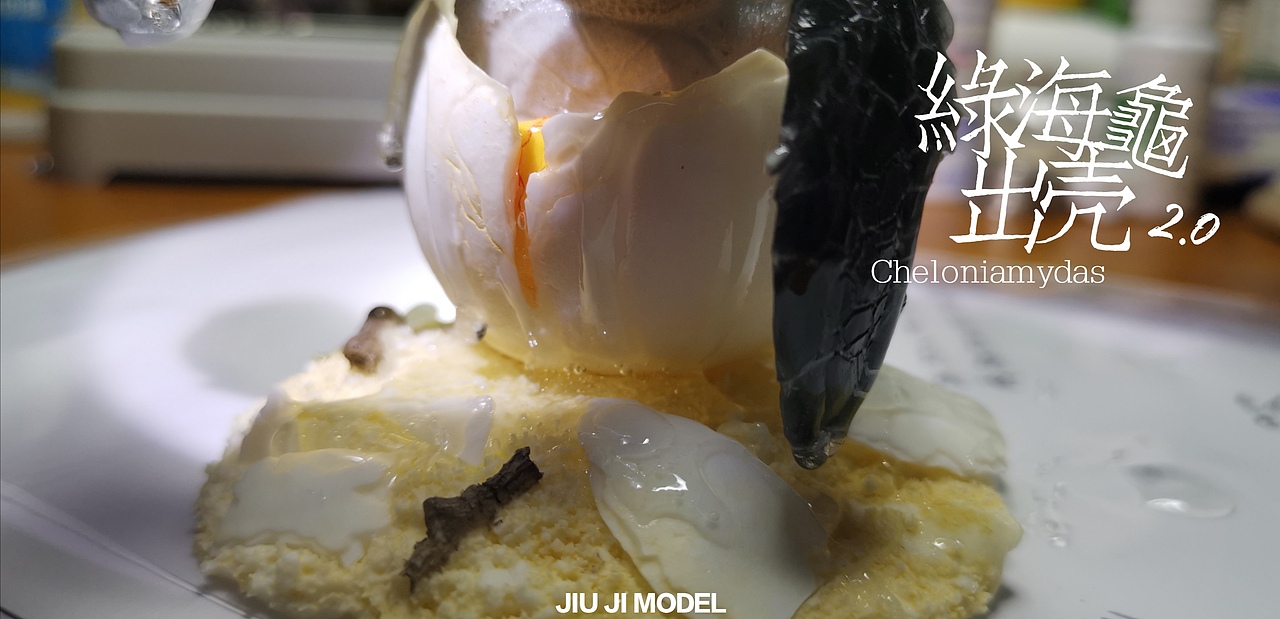 究极model-绿海龟出壳2.0