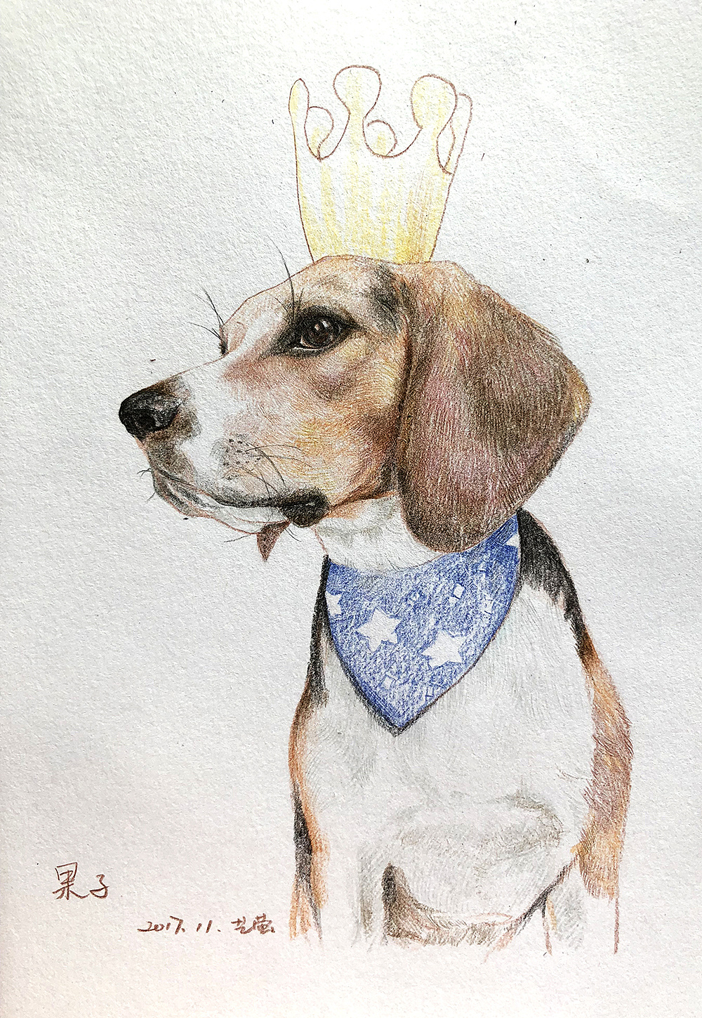 一只叫果子的比格犬