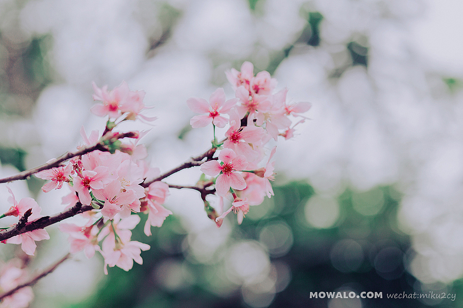 那些我調色的照片（图ZMTU5NTM0ODA0） - 其他摄影 - 站酷设计师gemky原创素材 - 站酷ZCOOL