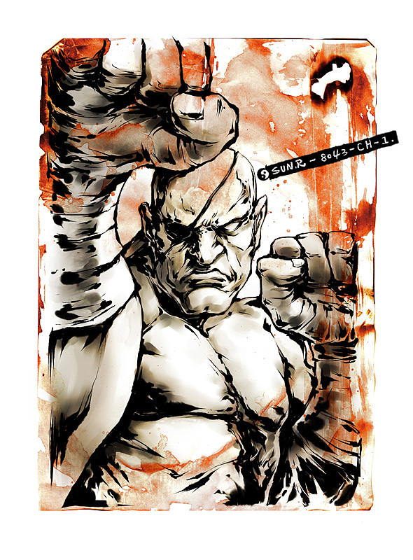 怀念街机街头霸王sagat