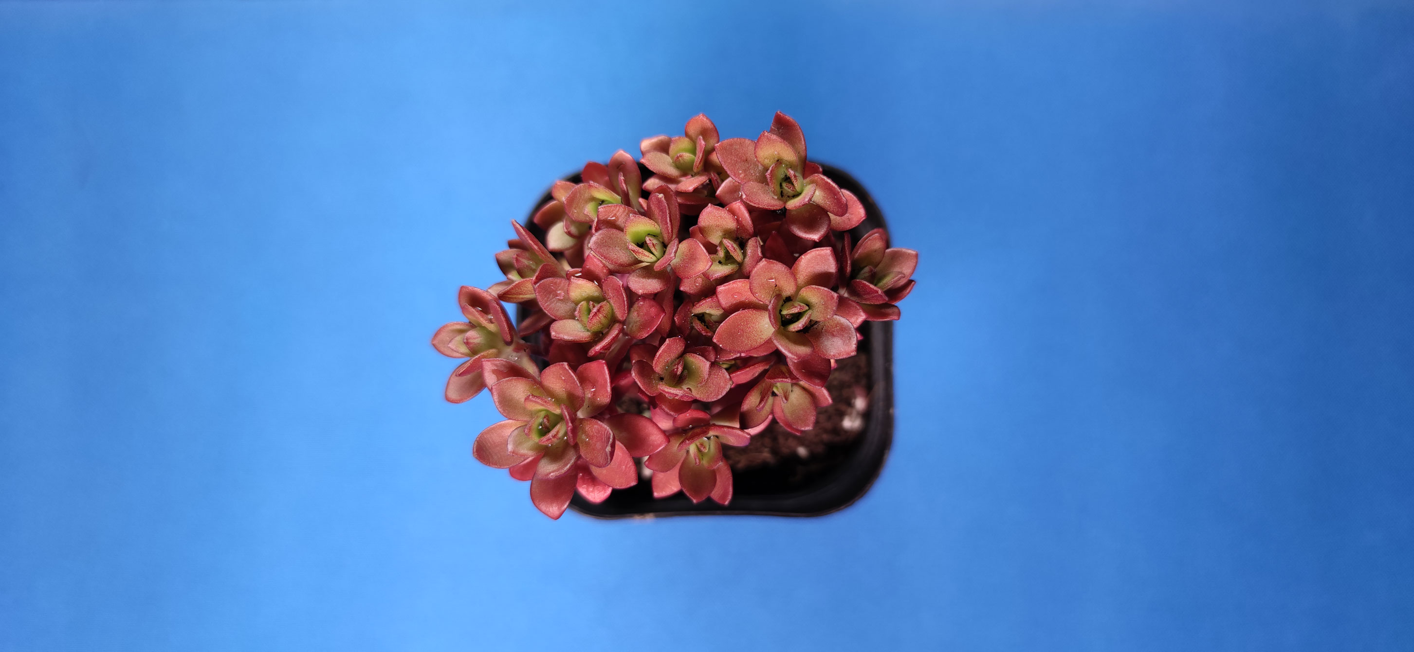 南山南里的個(gè)人主頁(yè)（封面預(yù)覽） - 主頁(yè)封面設(shè)置 - 站酷設(shè)計(jì)師南山南里原創(chuàng)素材 - 站酷ZCOOL