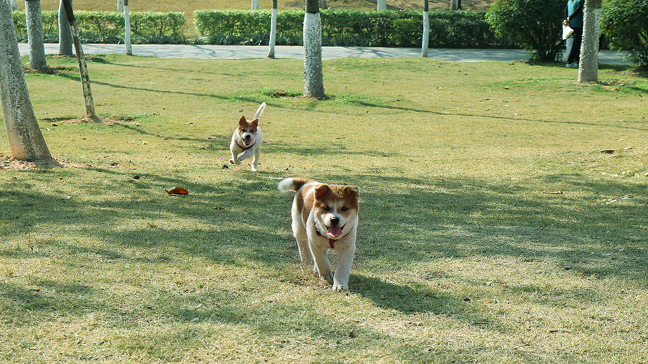 周末没事去白云湖玩下摄影