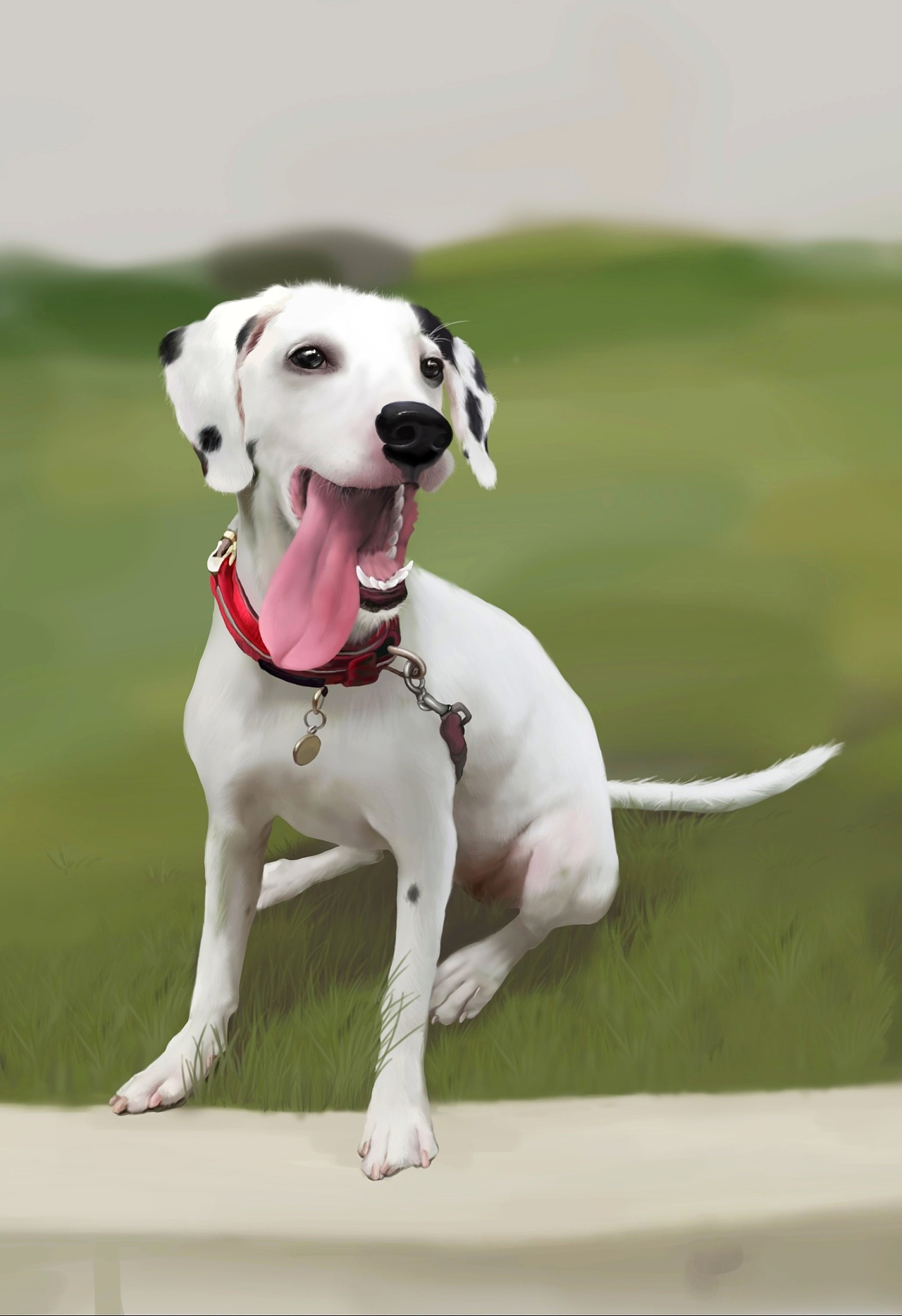 彩绘狗狗 斑点薯片