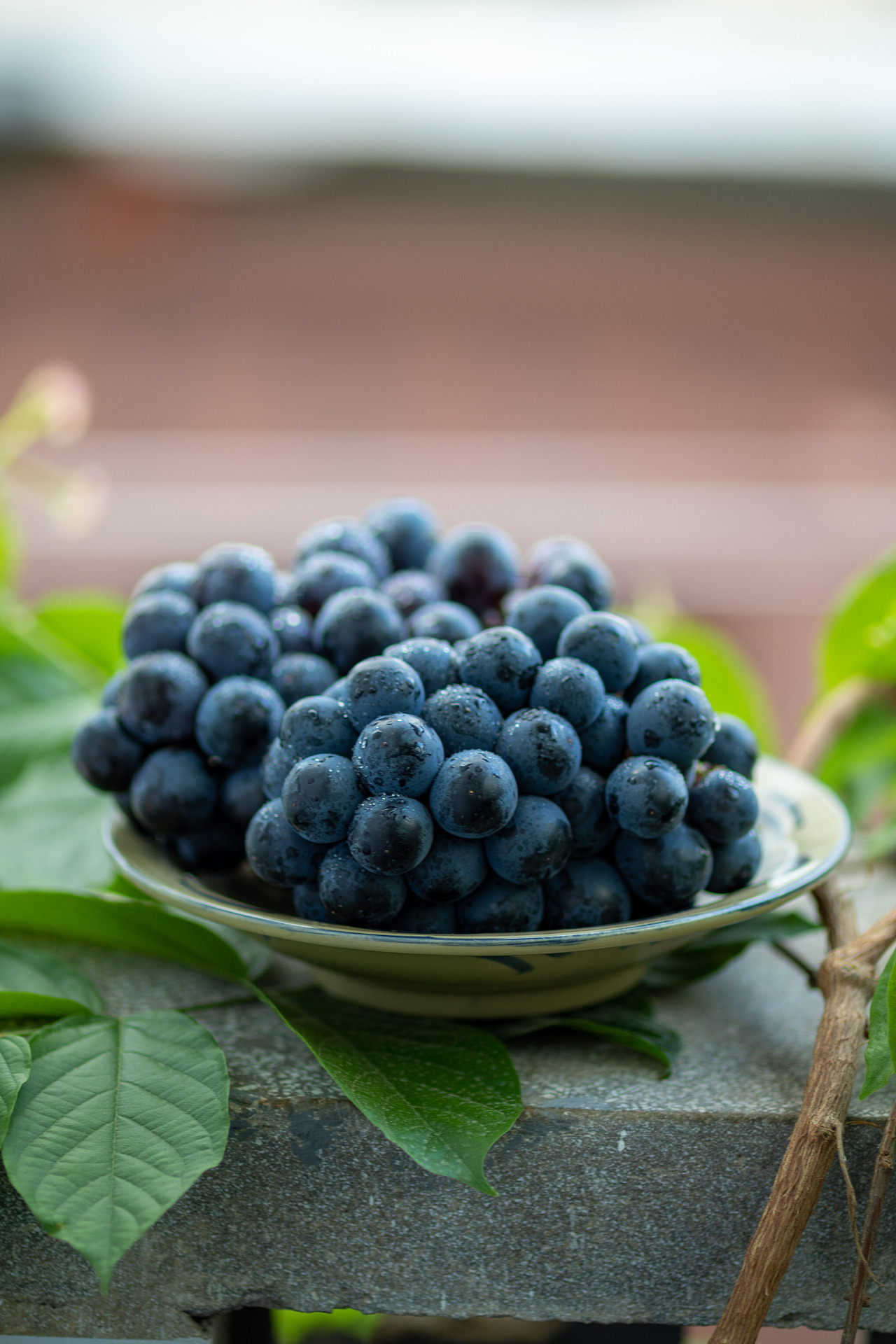 夏日炫黑-夏黑葡萄