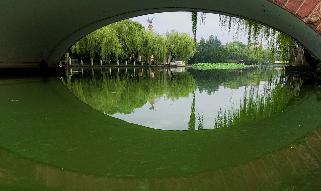 雨中的不同-它们