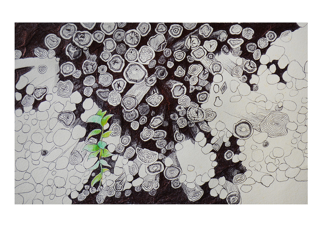 一棵小草也可以茁壮成长