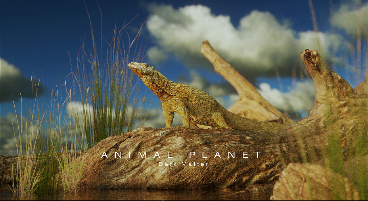 ANIMAL PLANET | 动物星球 爬行类动物近景两组
