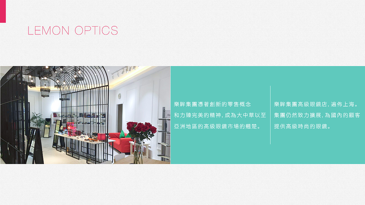 乐眸公司介绍ppt