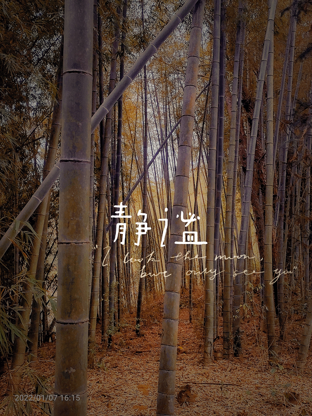 宁静致远（图ZMjg1NjI3ODY4） - 其他摄影 - 站酷设计师Z657555172原创素材 - 站酷ZCOOL