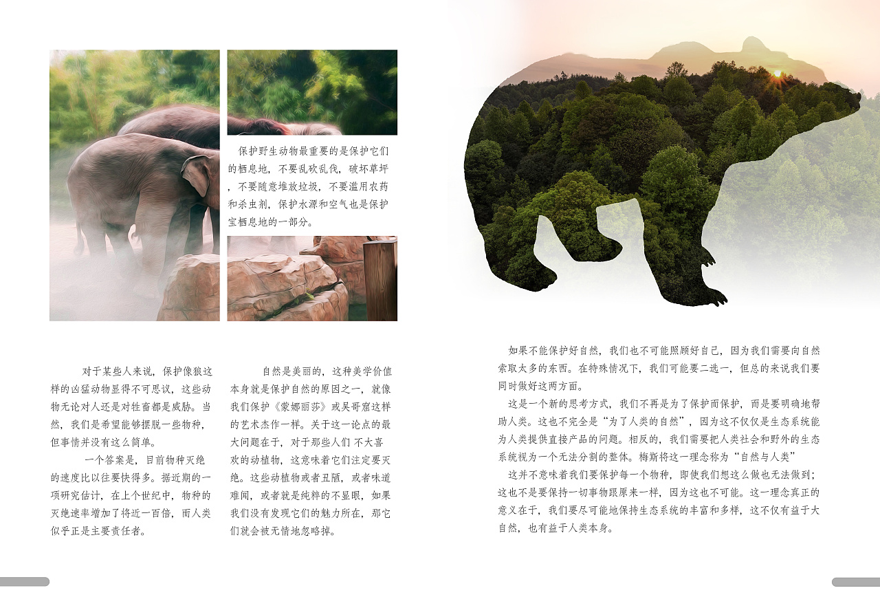保护动物公益广告|平面|宣传物料|HEQIANG设计 - 原创作品 - 站酷 (ZCOOL)