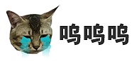 肥蠢表情gif 纪念我那只去了喵星的肥蠢（图ZMjkxMDg0ODA=） - 其他平面 - 站酷设计师马鹿喵太郎原创素材 - 站酷ZCOOL