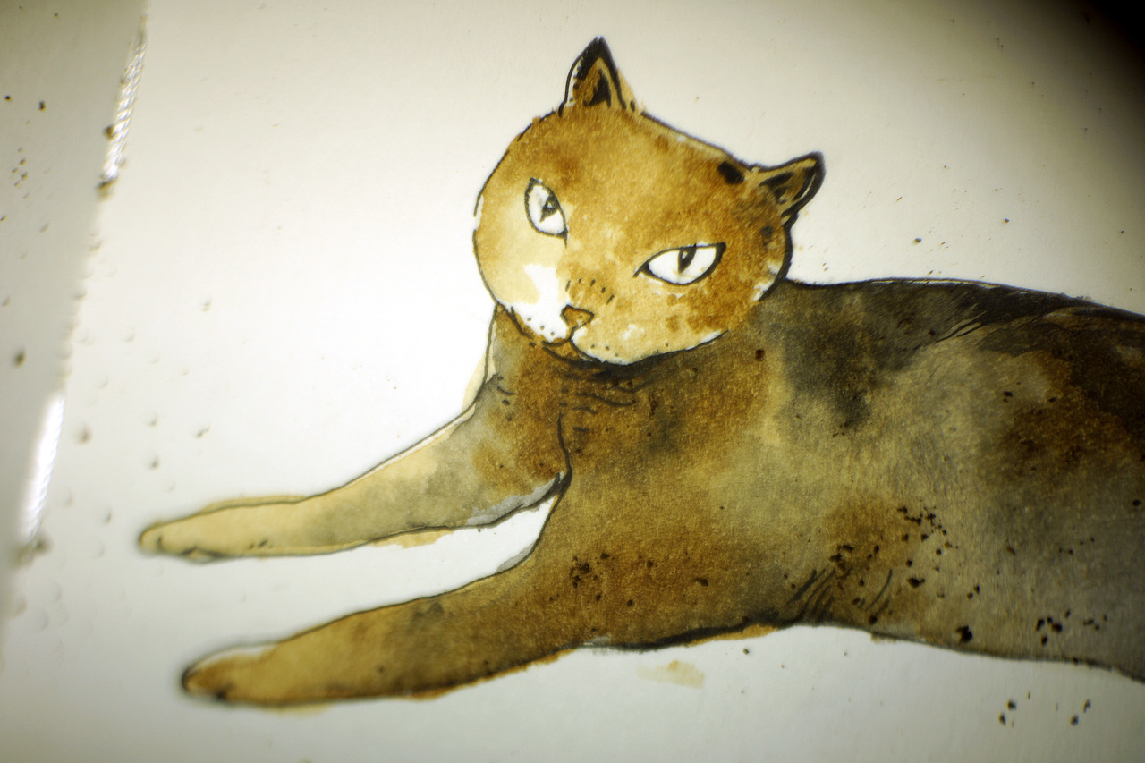 第二只猫（图ZMzMwNzQ5MDQ=） - 儿童插画 - 站酷设计师m-amp原创素材 - 站酷ZCOOL