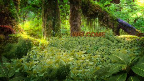 AE-摄像机的运用