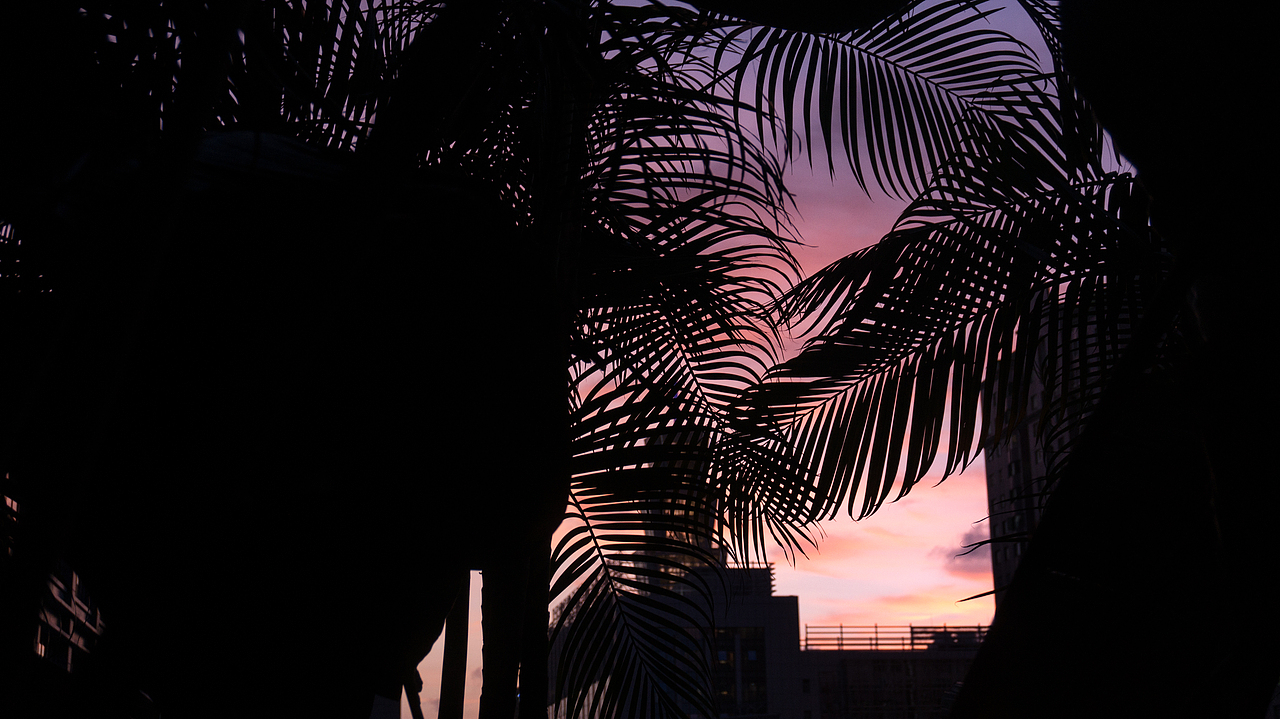 在南山上班一年了