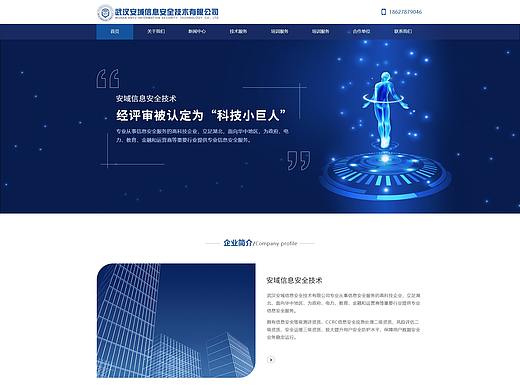 安域科技有限公司