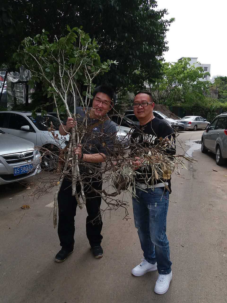 这是在兄弟家门口偷的,因为腿长,跑得赢保安,收获不错