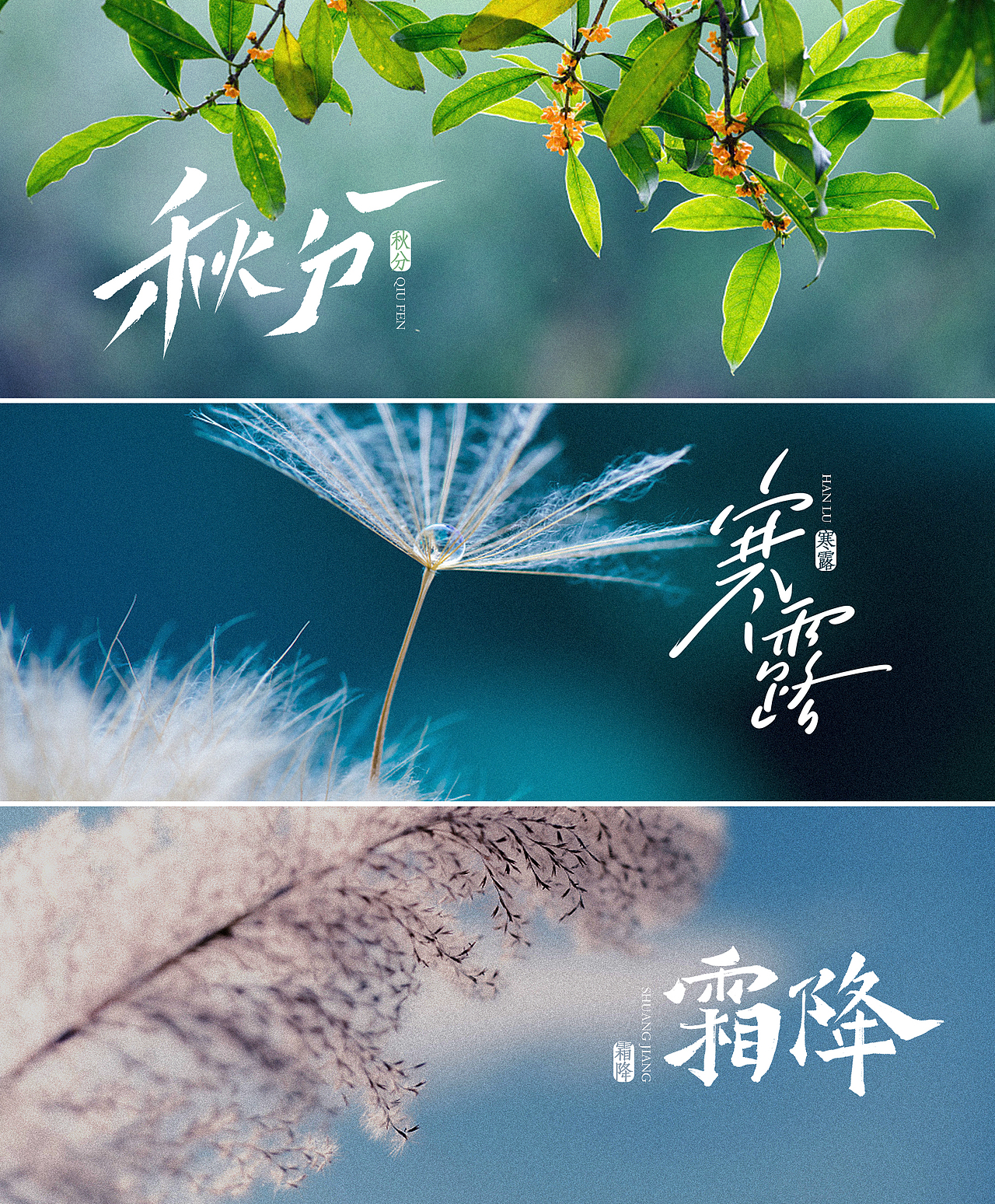 手写字体 【二十四节气】（图ZMzAwNDA0MzAw） - 字体/字形 - 站酷设计师希琪原创素材 - 站酷ZCOOL