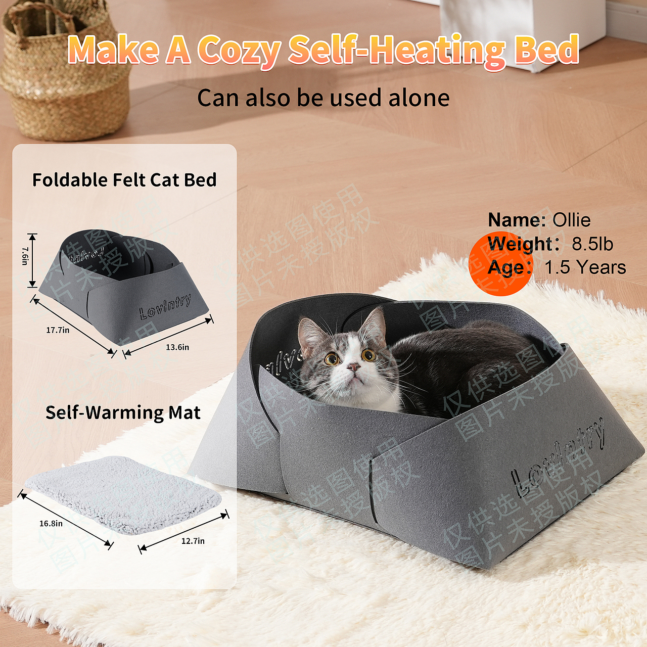 产品摄影详情设计主图视频拍摄制作亚马逊电商主图宠物