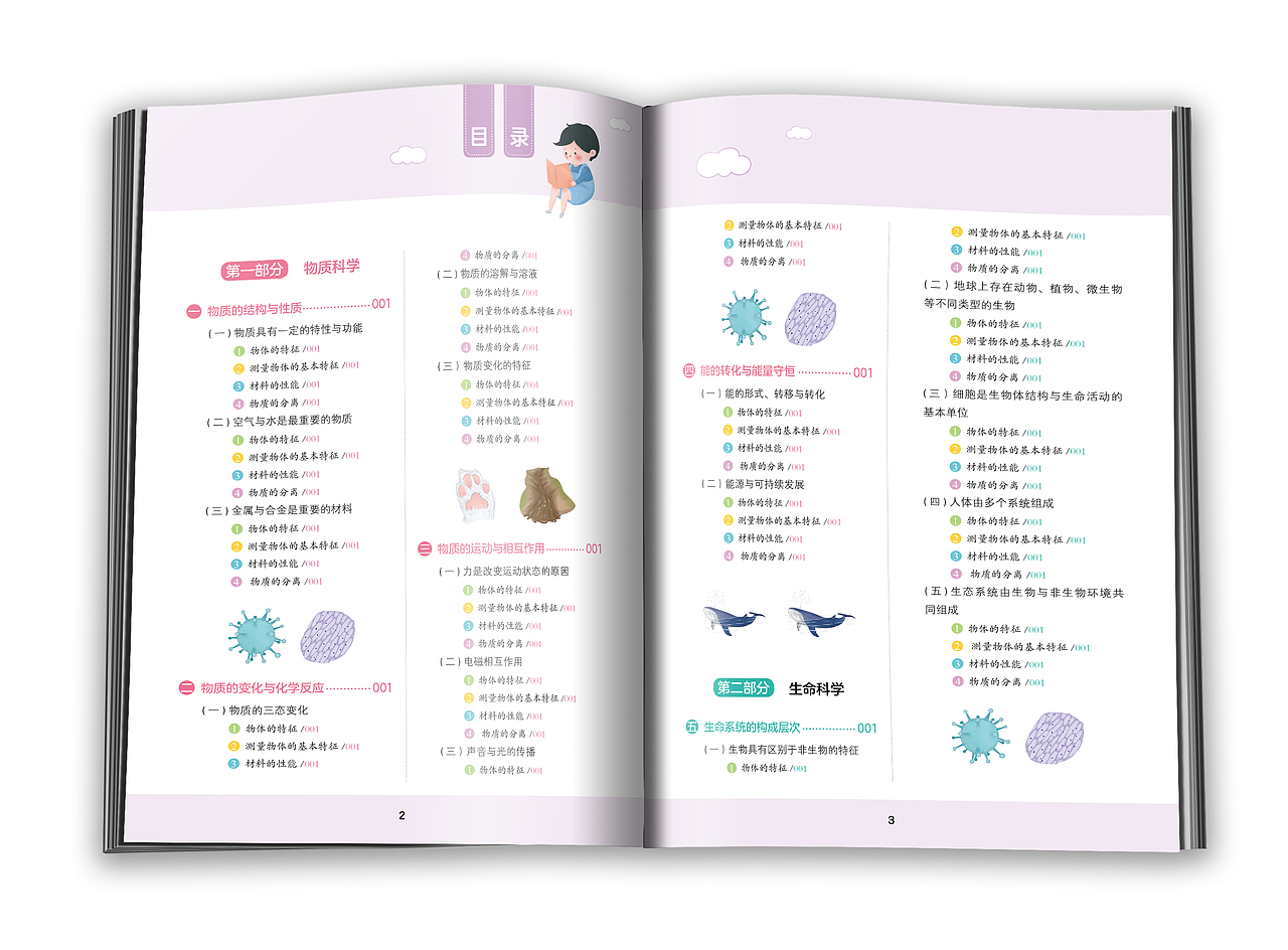 版式设计-小学科学