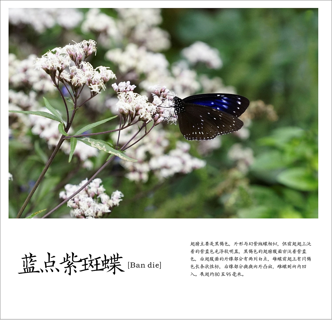 致敬自然 | 万物生长