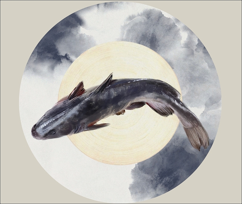 烧酒煮鱼夜宵餐饮-品牌设计，落地。