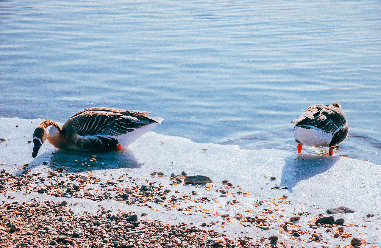 追逐光,直到成为光