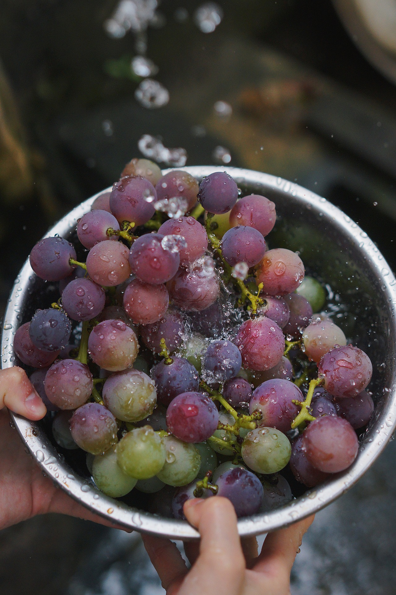 little forest/小森林（图ZMTM4NjcyMzg4） - 人像摄影 - 站酷设计师给给Eru原创素材 - 站酷ZCOOL