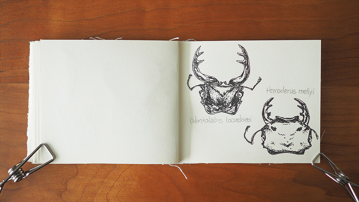 野武士的头颅 | WILDSAMURAI'S HEADS（图ZMTg0MjY2OTEy） - 绘本 - 站酷设计师coozie原创素材 - 站酷ZCOOL