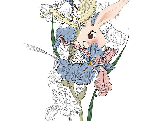 鸢尾花